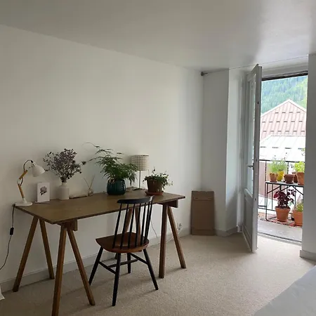 Apartment Hypercentre Balcon Avec Vue Sur Les Aiguilles *